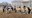 640.webp