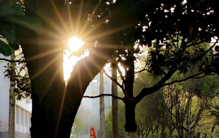 微信图片_20260319211540_163_9.jpg 微信图片_20260319211540_163_9.jpg